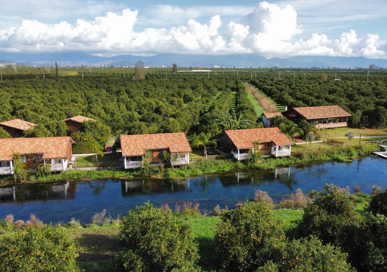 Turkuazkoey Guest House Finike Luaran gambar